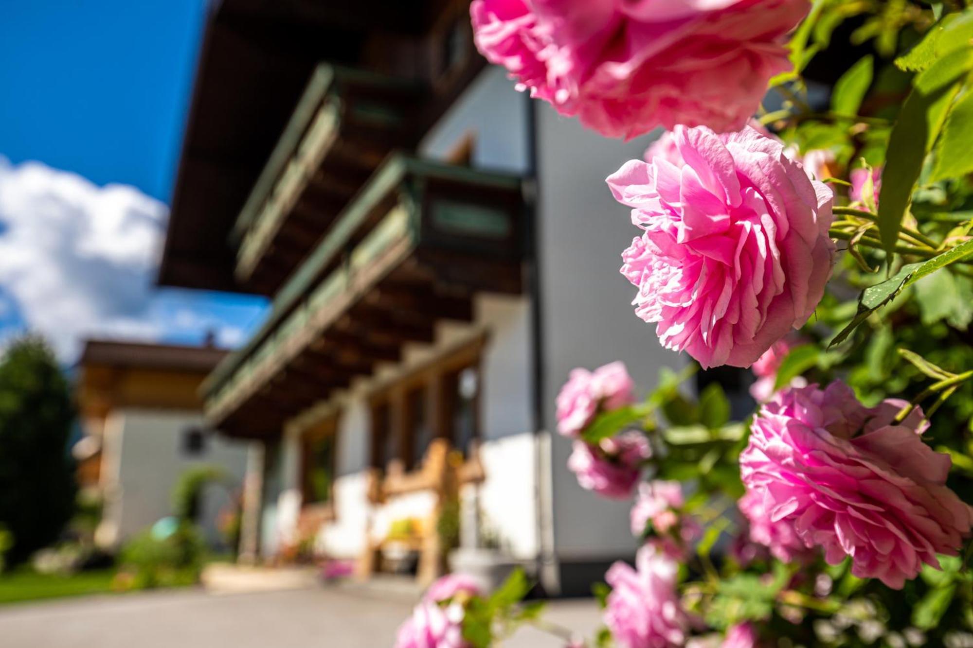 Holiday Im Gaestehaus Warter In Altenmarkt Altenmarkt im Pongau Kültér fotó